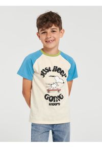 Sinsay - Koszulka Snoopy - wielobarwny. Materiał: bawełna. Wzór: nadruk