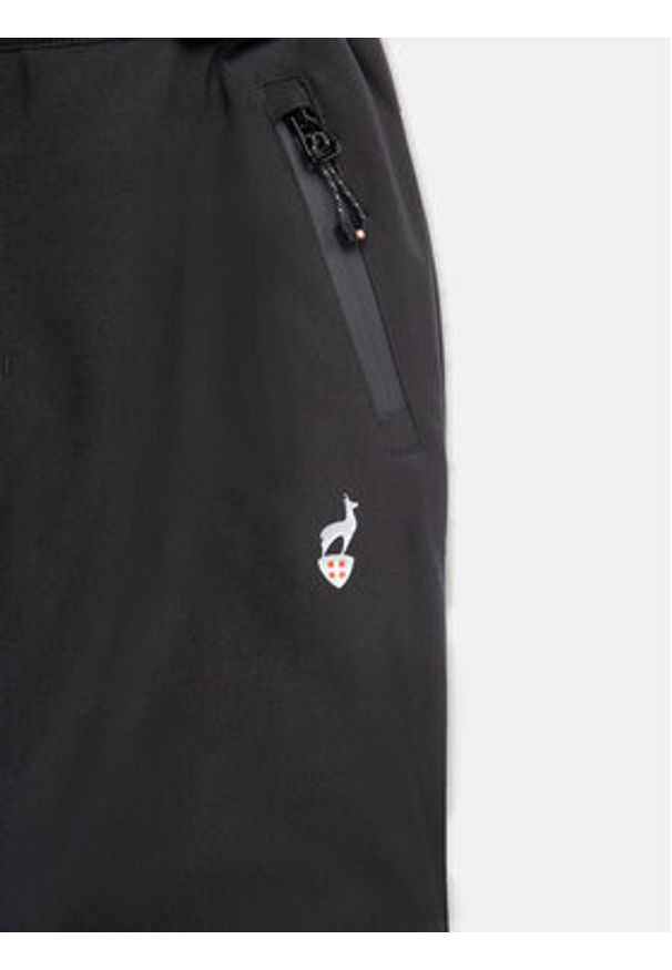 Aulp Spodnie narciarskie Savio Czarny Regular Fit. Kolor: czarny. Materiał: syntetyk. Sport: narciarstwo