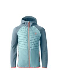 DARE 2B - Kurtka Dziecięca Switch Out Padded Jacket. Kolor: niebieski, szary, wielokolorowy. Materiał: puch. Styl: sportowy