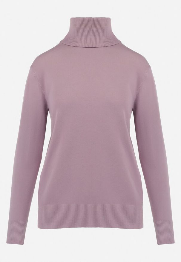 Born2be - Różowy Sweter z Golfem Sazerna w Składzie Wiskoza i Modal. Typ kołnierza: golf. Kolor: różowy. Materiał: wiskoza. Długość rękawa: długi rękaw. Długość: długie. Wzór: gładki. Sezon: zima, jesień