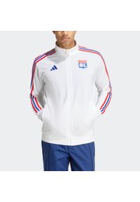 Adidas - Bluza piłkarska treningowa ADIDAS Olympique de Marseille 25/26. Materiał: dresówka. Sport: piłka nożna