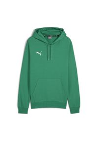 Bluza męska Puma Team Goal Casuals Hoody. Kolor: zielony. Sport: piłka nożna
