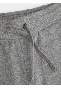 COCCODRILLO - Coccodrillo Spodnie dresowe WC4120101VBA Szary Regular Fit. Kolor: szary. Materiał: bawełna #3