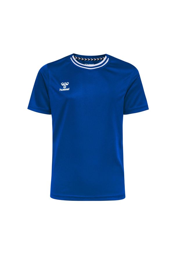 Koszulka dla dzieci Hummel Playful. Kolor: niebieski. Sport: piłka nożna
