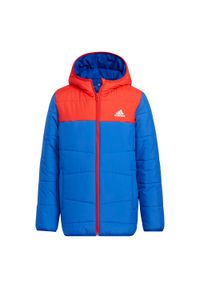 Adidas - Kurtka dziecięca adidas Padded Winter. Kolor: niebieski