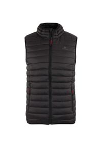 VESTEM - Kamizelka męska Athl. DPT. Henry — szary asfaltowy. Kolor: szary, wielokolorowy, fioletowy. Materiał: puch. Sezon: wiosna, jesień #1