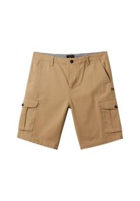 Quiksilver - Szorty spacerowe dla Mężczyzn CRUCIAL BATTLE CARGO Brązowy. Kolor: beżowy. Materiał: bawełna. Długość: krótkie. Wzór: ze splotem. Sezon: lato #1