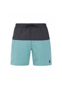 Szorty kąpielowe Protest Prtheli. Kolor: wielokolorowy, niebieski, zielony #1