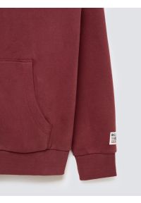 Big-Star - Bluza męska rozpinana z kapturem z kolekcji Authentic bordowa Karol 604. Typ kołnierza: kaptur. Kolor: czerwony. Materiał: dzianina. Wzór: aplikacja #3