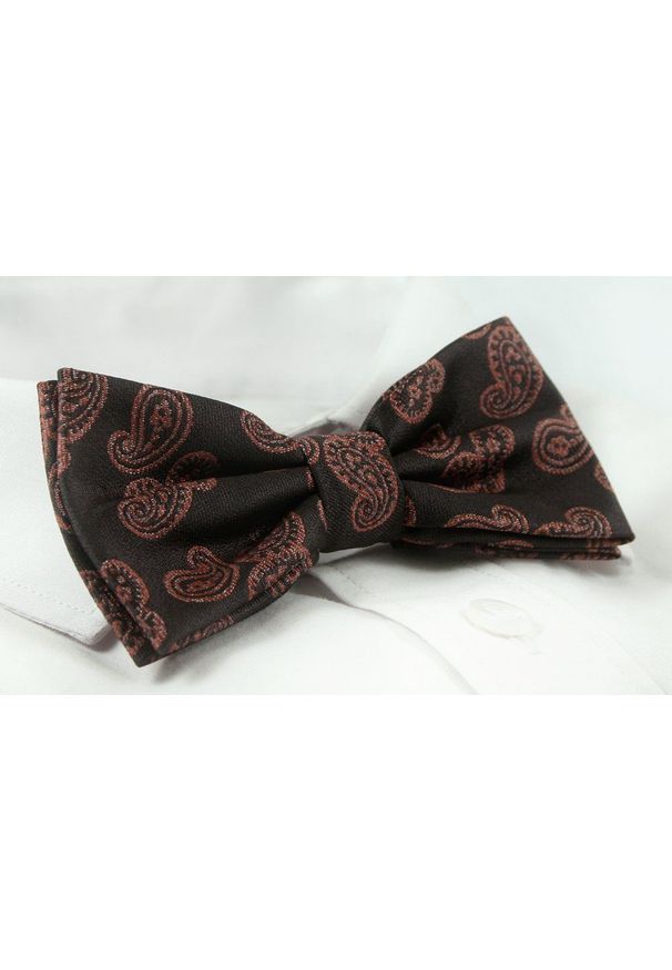 Mucha Męska z Poszetką Alties - Czarna z Wzorem Paisley. Kolor: czarny. Wzór: paisley. Styl: sportowy, elegancki