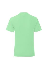 FRUIT OF THE LOOM - T-shirt Dla Dziewczynki Iconic 150. Kolor: zielony