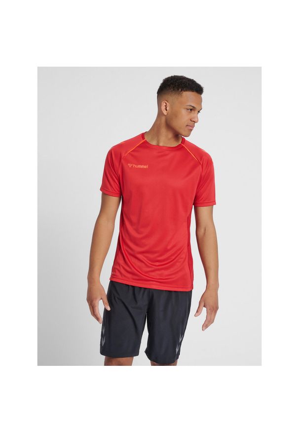 Koszulka do piłki ręcznej męska Hummel hml AUTHENTIC Pro HML. Kolor: szary, czerwony, brązowy, wielokolorowy. Sport: piłka nożna
