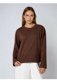 Sinsay - Bawełniana koszulka z gęstego splotu Interlock - brązowy. Kolor: brązowy. Materiał: bawełna. Wzór: ze splotem