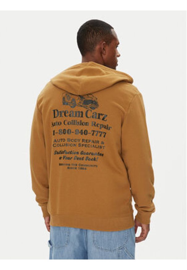 DC Bluza ADYSF03147 Brązowy Regular Fit. Kolor: brązowy. Materiał: bawełna