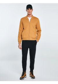 Big-Star - Bluza męska bomber jasnobrązowa Wladorb 803. Okazja: na spacer. Typ kołnierza: kołnierzyk stójkowy. Kolor: brązowy. Materiał: tkanina, materiał, dzianina. Wzór: nadruk. Styl: klasyczny, sportowy