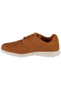 Timberland - Buty do chodzenia męskie, Graydon Oxford Low. Kolor: brązowy. Sport: turystyka piesza