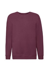 FRUIT OF THE LOOM - Bluza Dziecięca Premium. Kolor: czerwony, wielokolorowy, brązowy