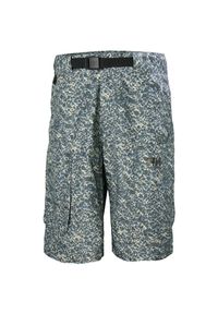 Szorty Helly Hansen Archive 22. Kolor: szary. Długość: krótkie. Sezon: lato