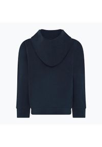 LEGO Wear - Bluza trekkingowa dziecięca LEGO Lwstorm 303. Kolor: niebieski