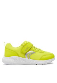 Geox Sneakersy J Sprintye Boy J36GBA 01454 C3008 D Zielony. Kolor: zielony