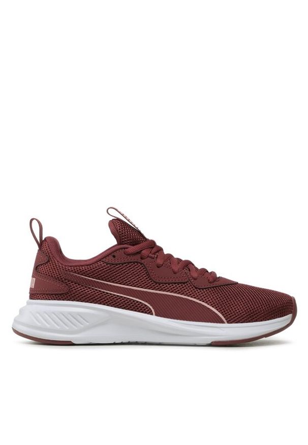 Puma Buty do biegania Incinerate Wood Violet 37628822 Fioletowy. Kolor: fioletowy