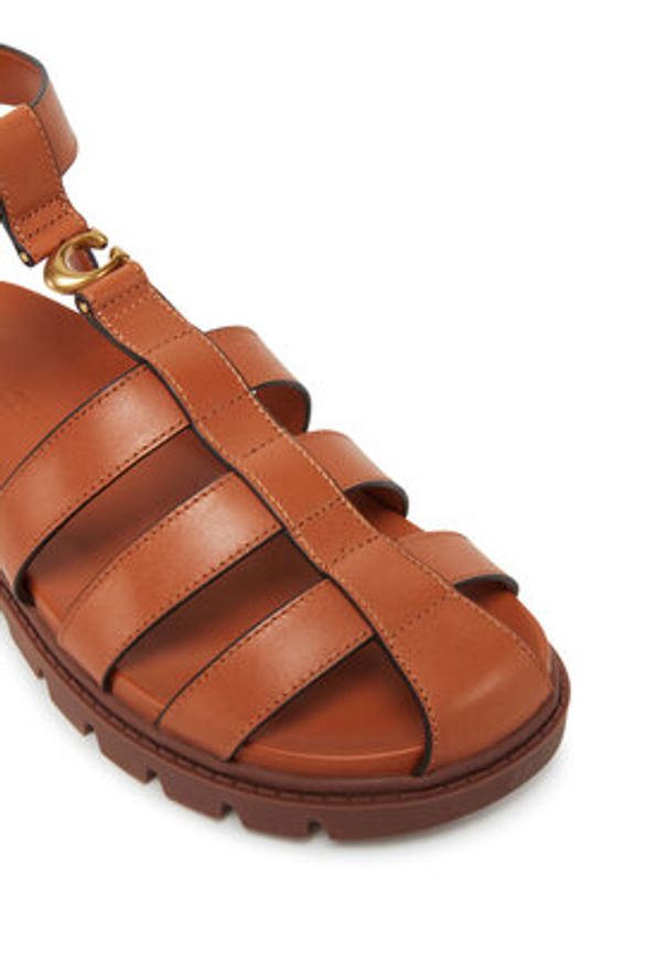 Coach Sandały CAR69 Brązowy. Kolor: brązowy. Materiał: skóra