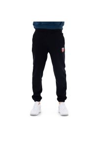 Spodnie dresowe Prosto Sweatpants King KL222MPAN1151 - czarne. Kolor: czarny. Materiał: dresówka #1