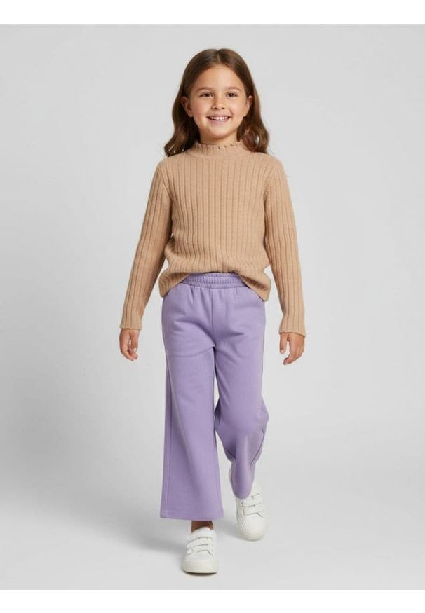 Sinsay - Prążkowany sweter - brązowy. Kolor: brązowy. Materiał: prążkowany