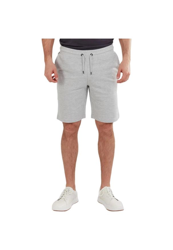 FUNDANGO - Spodenki fitness męskie Fundango Delon Sweatshort. Kolor: szary. Materiał: poliester, bawełna. Wzór: haft. Sport: fitness