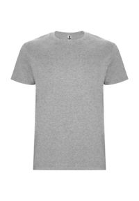 ROLY - Męska Koszulka Stafford. Kolor: szary. Sport: turystyka piesza #1