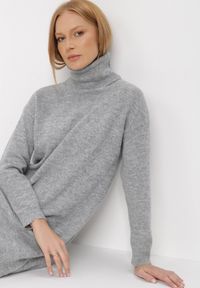 Born2be - Szara Sukienka Dzianinowa Classificator. Okazja: na co dzień. Typ kołnierza: golf. Kolor: szary. Materiał: dzianina. Długość rękawa: długi rękaw. Sezon: zima, jesień. Typ sukienki: proste. Styl: casual #6