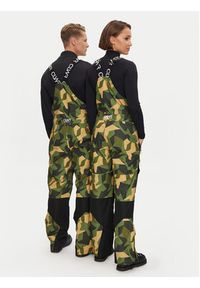 Colourwear Spodnie snowboardowe 7010296C6700 Khaki Regular Fit. Kolor: brązowy. Materiał: syntetyk. Sport: snowboard