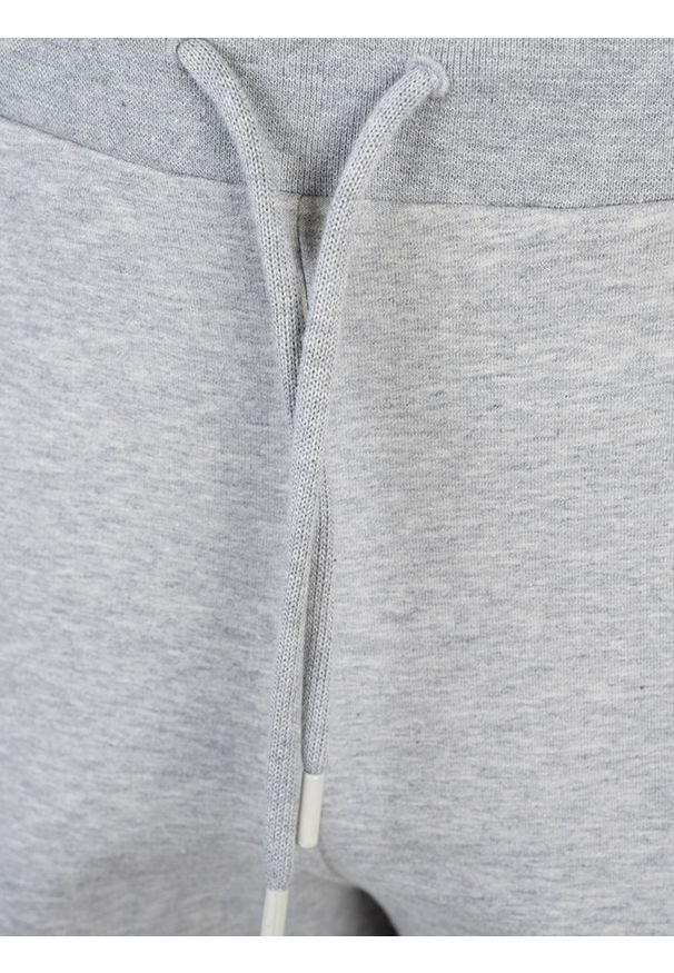 Bikkembergs Spodnie | C 1 52B GS E B066 | Mężczyzna | Szary. Okazja: na co dzień. Kolor: szary. Materiał: bawełna, elastan. Wzór: aplikacja. Styl: casual