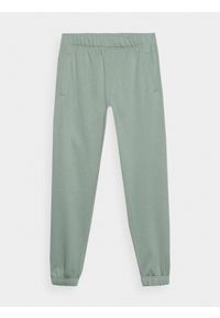outhorn - Spodnie dresowe joggery męskie Outhorn - zielone. Kolor: zielony. Materiał: dresówka #1