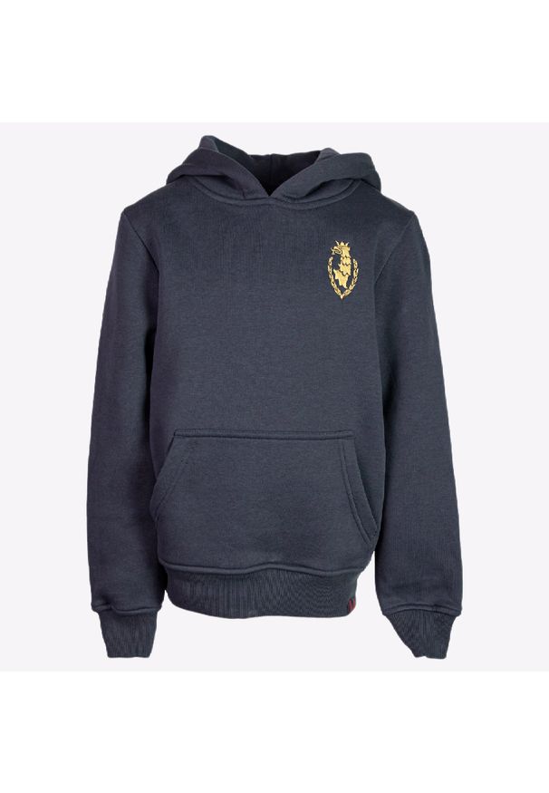 POGOŃ - Bluza dla dzieci Pogoń z haftowanym gryfem. Materiał: poliester, bawełna. Wzór: haft. Sport: piłka nożna