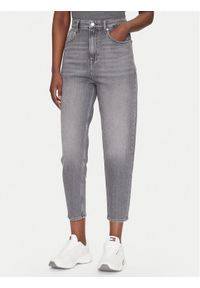 Tommy Jeans Jeansy DW0DW20648 Szary Mom Fit. Kolor: szary