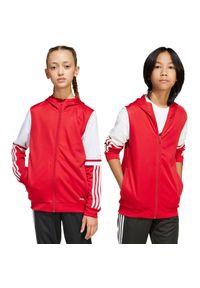 Adidas - Bluza dla dzieci adidas Squadra 25 Hoody. Kolor: czerwony, biały, wielokolorowy. Sport: fitness