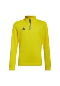 Adidas - Bluza piłkarska dla dzieci adidas Entrada 22 Training Top. Kolor: żółty. Materiał: poliester. Sport: piłka nożna