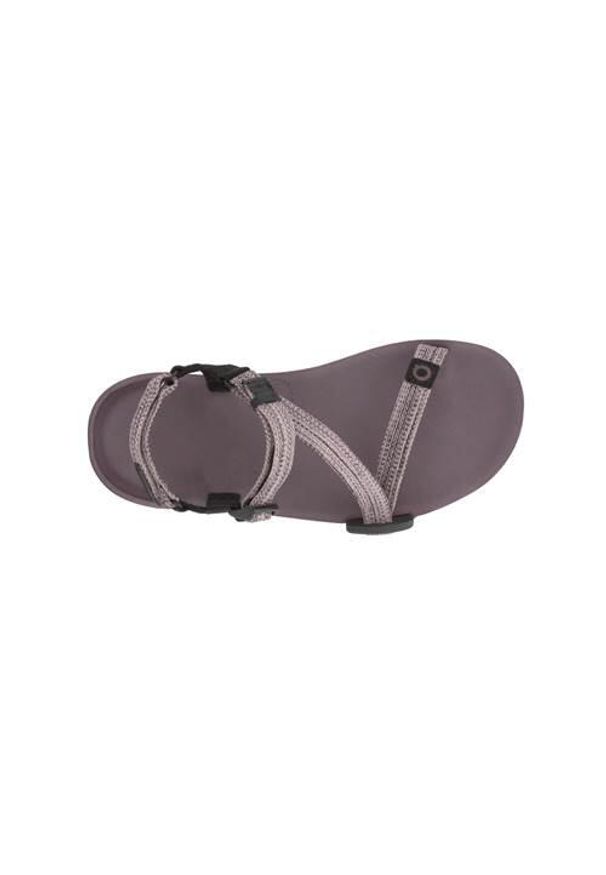 XERO SHOES - Buty do chodzenia damskie Xero Shoes Z trail Ev Altrosa. Zapięcie: rzepy. Kolor: brązowy. Materiał: materiał, syntetyk. Sport: turystyka piesza
