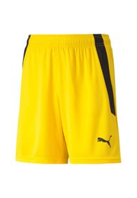 Spodenki dziecięce Puma Team Liga. Okazja: na co dzień. Kolor: czarny, pomarańczowy, żółty, wielokolorowy. Styl: casual, sportowy