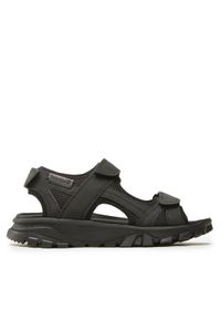 Timberland Sandały Lincoln Peak Strap Sandal TB0A5XA40151 Czarny. Kolor: czarny