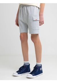 Big-Star - Szorty chłopięce dresowe z kieszeniami cargo szare Viler 901. Okazja: na co dzień. Kolor: szary. Materiał: dresówka. Wzór: aplikacja. Styl: sportowy, wakacyjny, elegancki, casual #5