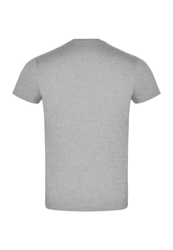 ROLY - Męska Koszulka Atomic Heather. Kolor: szary. Sport: turystyka piesza