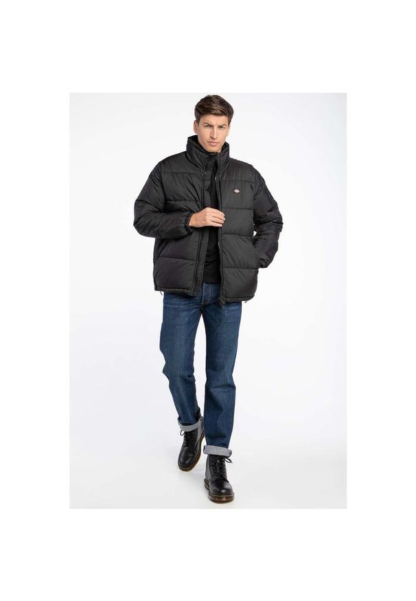 Kurtka zimowa męska Dickies Waldenburg. Kolor: czarny. Sezon: zima. Styl: sportowy