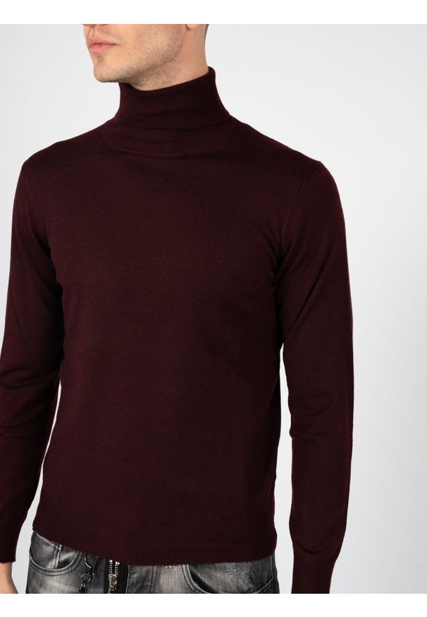 Xagon Man Sweter "Turtleneck" | A22081&ELV18 | Mężczyzna | Bordowy. Okazja: na co dzień. Typ kołnierza: golf. Kolor: czerwony. Materiał: akryl, nylon, poliester, wełna. Styl: casual