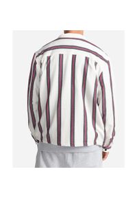 Koszula turystyczna męska Element Parker Stripe. Kolor: biały. Materiał: bawełna, wiskoza