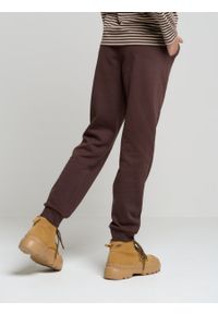 Big-Star - Spodnie dresowe dziewczęce brązowe Abeulita 804. Kolor: brązowy. Materiał: dresówka. Długość: długie. Sezon: wiosna, jesień, zima. Styl: klasyczny, elegancki #3
