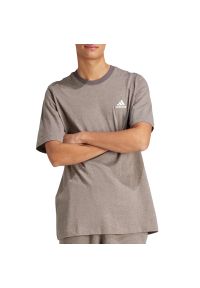 Adidas - Koszulka adidas Sportswear M Melt IR5320 - beżowa. Kolor: beżowy. Materiał: bawełna, materiał, dresówka. Długość rękawa: krótki rękaw. Długość: krótkie