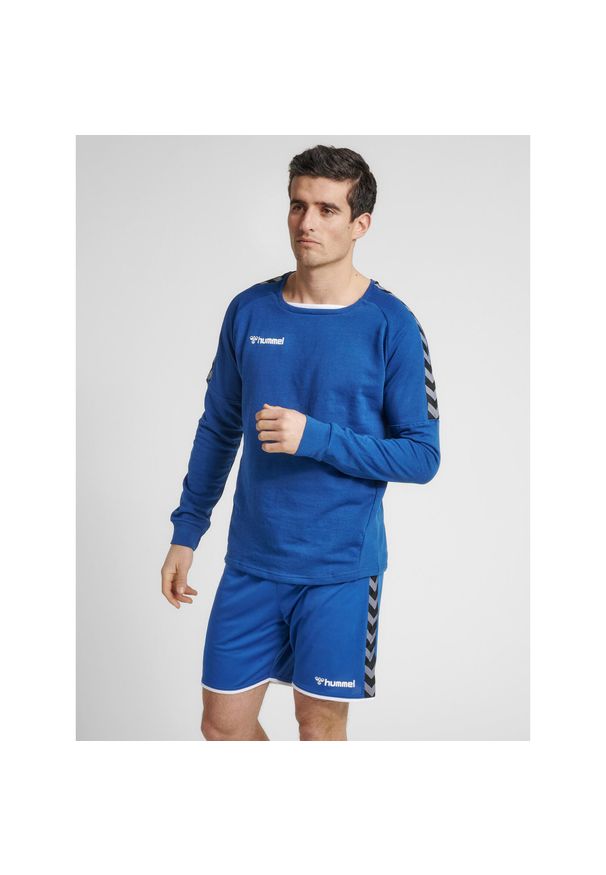 Bluza Hummel hmlAUTHENTIC Training. Kolor: niebieski