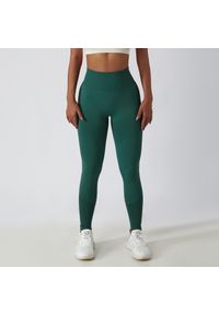 Intica - Legginsy treningowe modelujące sylwetkę z wysokim stanem Gulli. Stan: podwyższony. Kolor: zielony. Materiał: tkanina. Sport: fitness